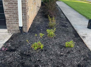 Weeding by Tywuan Williams for Tyler B. in Indianapolis, IN
