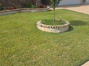 Sandy W.'s Lawn Care service result