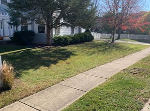 Leaf Removal by Jorge Yanez for Penny R. in Plainfield, IL