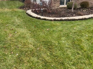 Leaf Removal by Erika Espinoza for Brian Z. in Schaumburg, IL