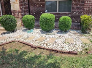 Bush Trimming by Gerome Randle for Dan S. in Arlington, TX