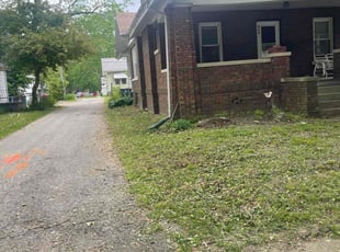 Leaf Removal by Demetrius Criggley for Larry L. in Springfield, IL