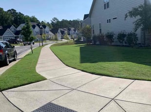 Corinna P.'s Lawn Service service result