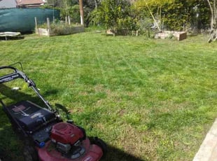 Aiden P.'s Grass Cutting service result