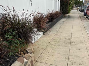 Cleanups by Keith Dalke for Aamir S. in San Diego, CA