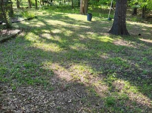 Leaf Removal by Adam Pearce for Samuel D. in Maumelle, AR