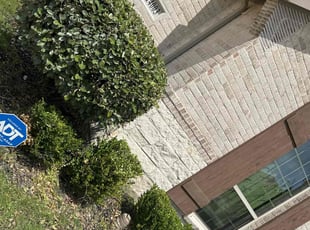 Aurora P.'s Bush Trimming service result