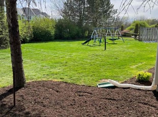 Kristen L.'s Grass Cutting service result