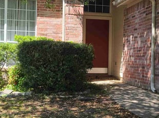Bush Trimming by Teshna Esparza for Eric H. in Saginaw, TX