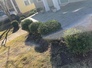 Bush Trimming by David Smith for Malcolm E. in Atlanta, GA