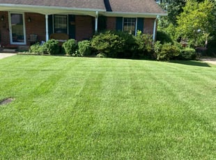 Ronald N.'s Lawn Service service result