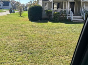 Bush Trimming by D Mitchell for Kara H. in Chesterfield, VA