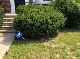 Bush Trimming by Travis Washington for Ayannah D. in Baltimore, MD