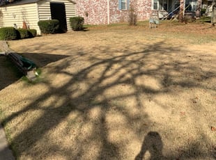 Leaf Removal by Jordan Smith for Sandra I. in Sapulpa, OK