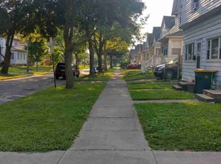 Olga B.'s Lawn Mowing service result