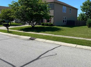 Mariana P.'s Lawn Mowing service result