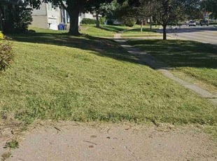 Gloria G.'s Grass Cutting service result