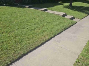 Gabrielle R.'s Grass Cutting service result