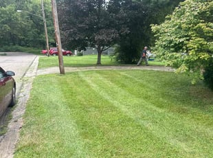 Don S.'s Lawn Service service result