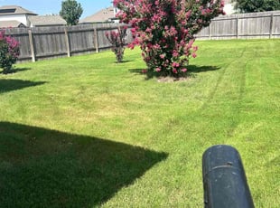Cameron C.'s Cleanups service result