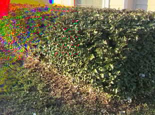 Bush Trimming by Kelvin Williams for Jonathan B. in Jacksonville, FL
