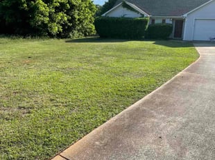 Cleanups by Aaron Hill for Shantrell R. in Covington, GA