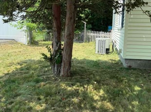 Kim S.'s Leaf Removal service result