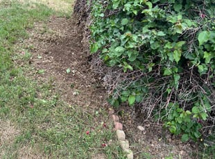 Bush Trimming by Aristeo Valladares for Charles S. in Moreno Valley, CA