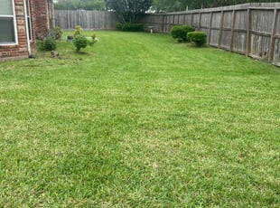 Paula C.'s Yard Cutting service result