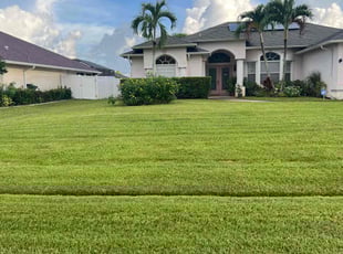 Carlos L.'s Lawn Maintenance service result