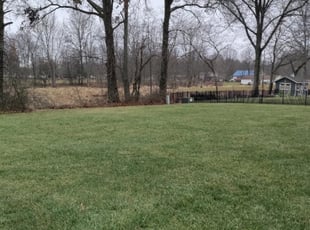 Leaf Removal by David Walton for Bryn R. in Pataskala, OH