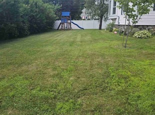 Scott S.'s Lawn Service service result