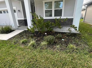 Weeding by Robbie Mcgee for Quyelle B. in Jacksonville, FL
