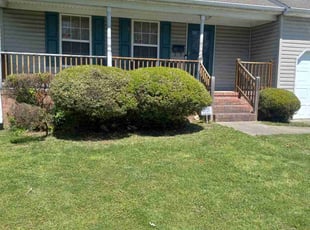 Bush Trimming by Sean Saulsby for Arnetta K. in Newport News, VA