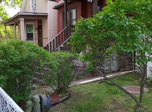 Bush Trimming by Tracey Martin for Unique C. in Chicago, IL