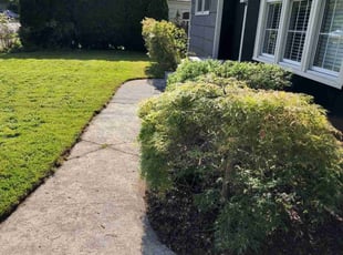 Bush Trimming by Devin Beard for Andrew A. in Portland, OR