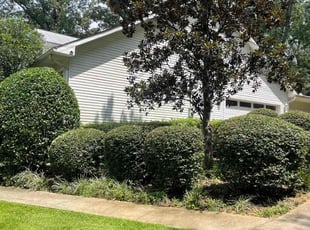 Bush Trimming by Bryan Govantes for Casey A. in Tallahassee, FL
