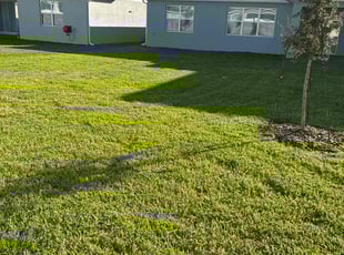 Judy N.'s Lawn Care service result