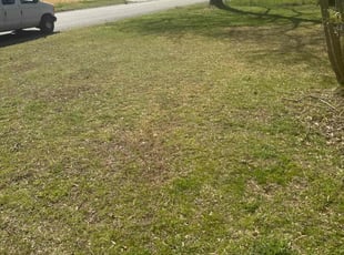 Leaf Removal by Kaacine Whipset for Lisse J. in Jacksonville, AR
