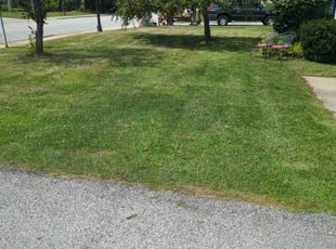 April H.'s Lawn Mowing Service service result