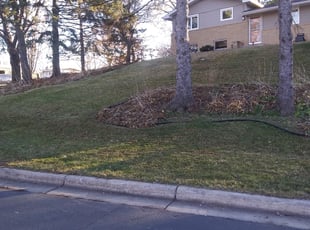 Leaf Removal by David Gallaway for Keith T. in Golden Valley, MN