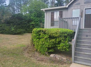 Bush Trimming by Douglas McClelland for Lauren S. in Irondale, AL