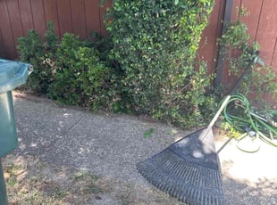 Anthony J.'s Bush Trimming service result