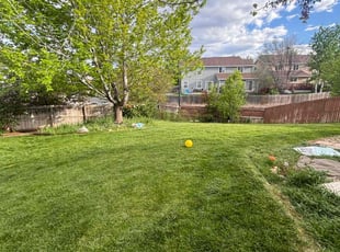 Simeon J.'s Lawn Mowing service result