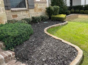 Weeding by Severa Rosie Lara for Laura F. in Euless, TX