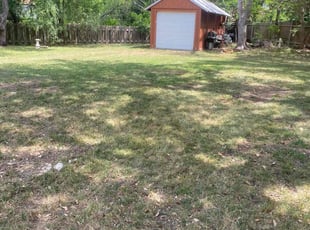 Leaf Removal by Fausto Bandala for Brenda H. in Leander, TX