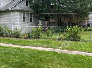 Matthew O.'s Cleanups service result