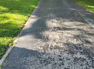 Cleanups by Perry Luna for Emily W. in O'Fallon, IL