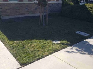 Bush Trimming by Chris Acosta for Sharon H. in Lathrop, CA