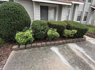 Bush Trimming by Derek Walker for Sherrie M. in Virginia Beach, VA